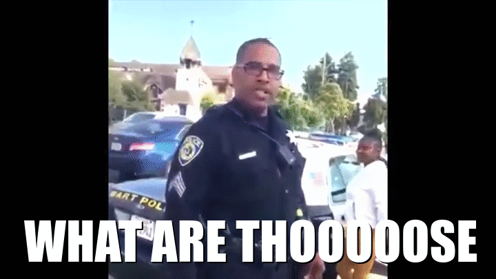 WHAT ARE THOOOOOOOSE